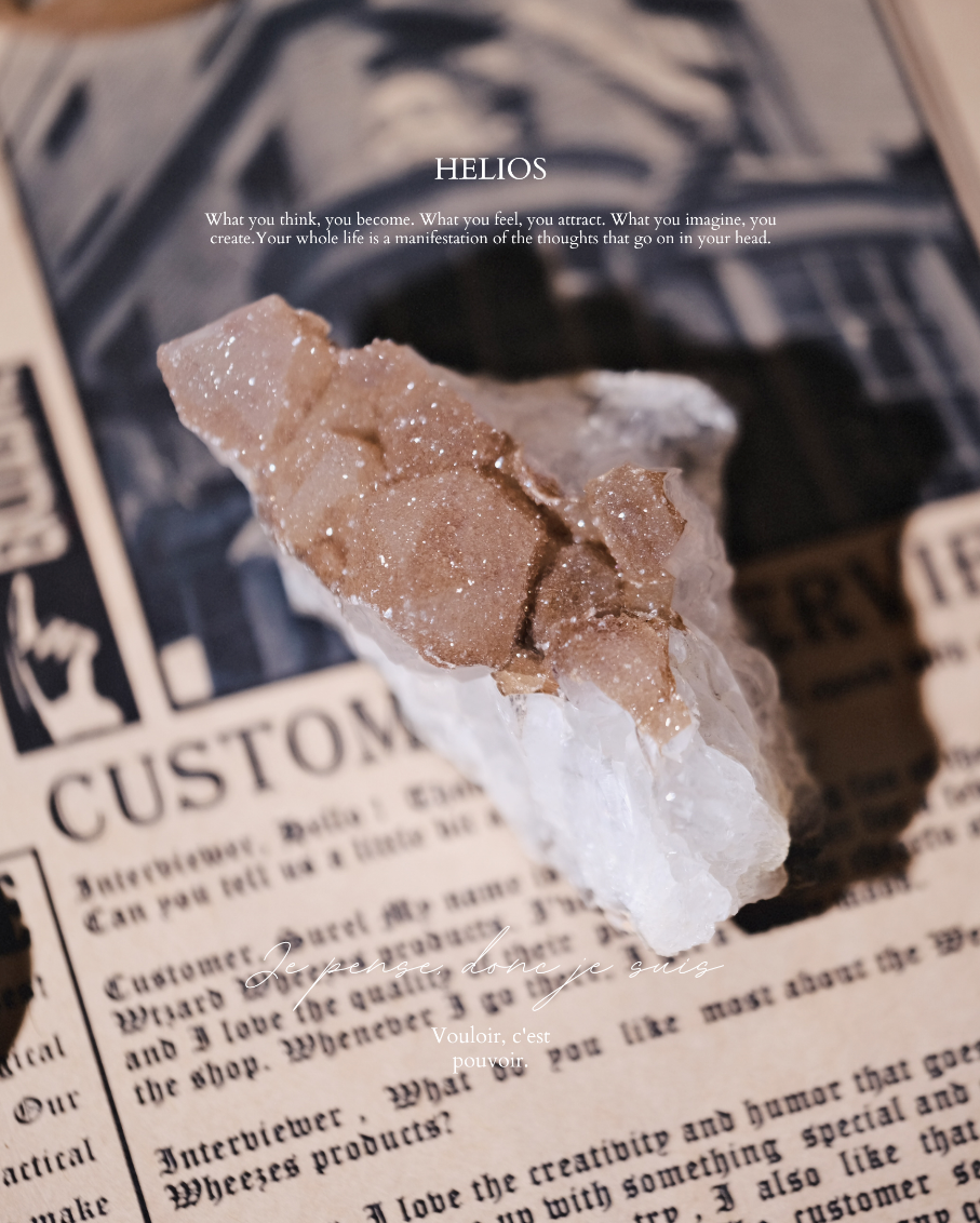 《𝐒𝐡𝐢𝐧𝐲 𝐁𝐫𝐨𝐰𝐧  ・閃金棕✨》大牙金軟｜水晶瑪瑙系列
