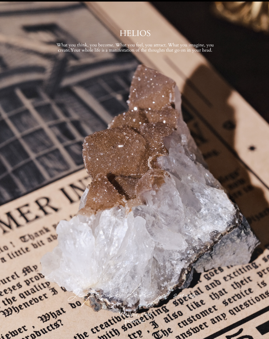 《𝐒𝐡𝐢𝐧𝐲 𝐁𝐫𝐨𝐰𝐧  ・閃金棕✨》大牙金軟｜水晶瑪瑙系列